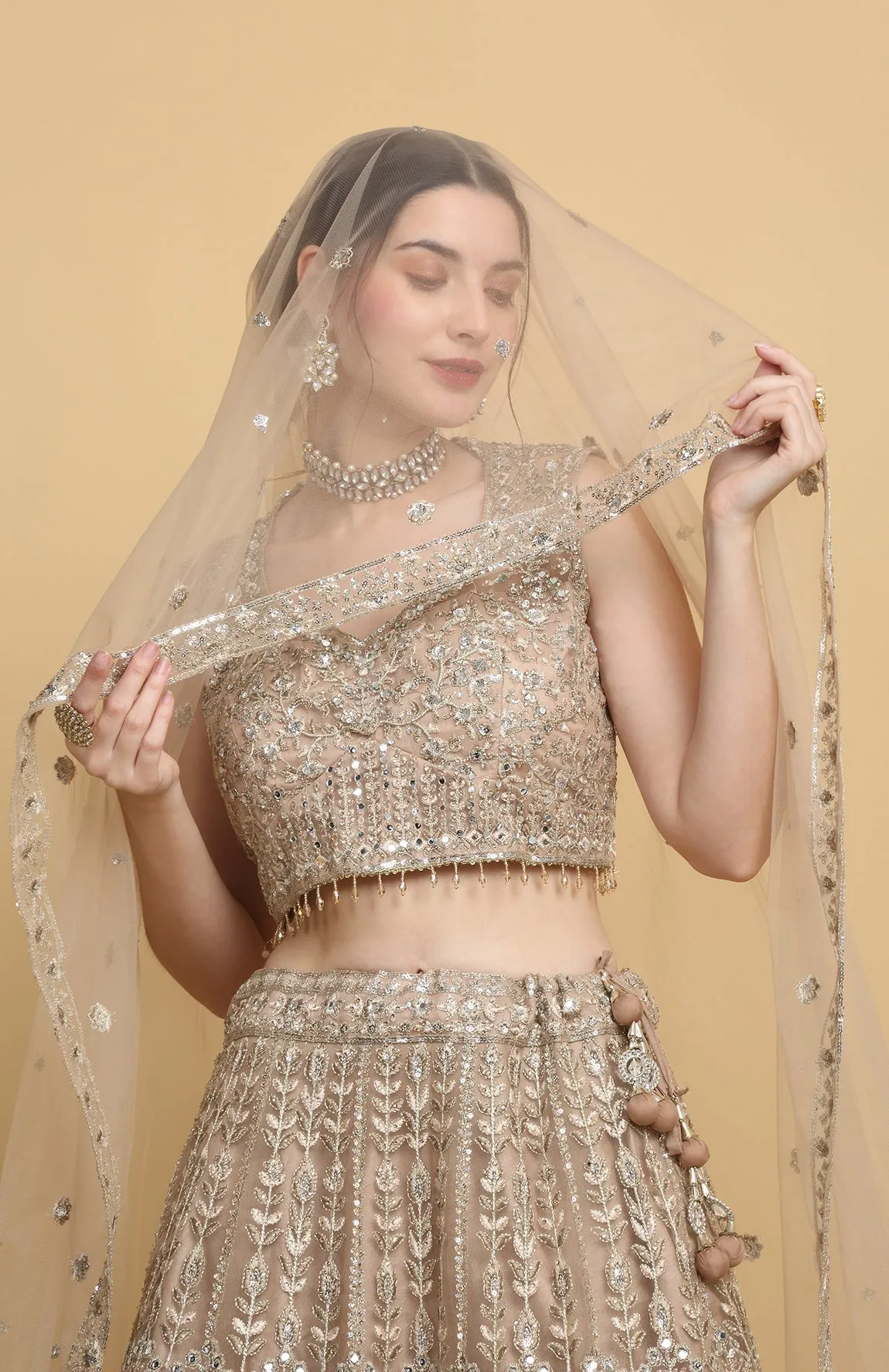 Beige Net Embroidered Floral Leaf Neck Swanidhya Bridal Lehenga Set - Rent