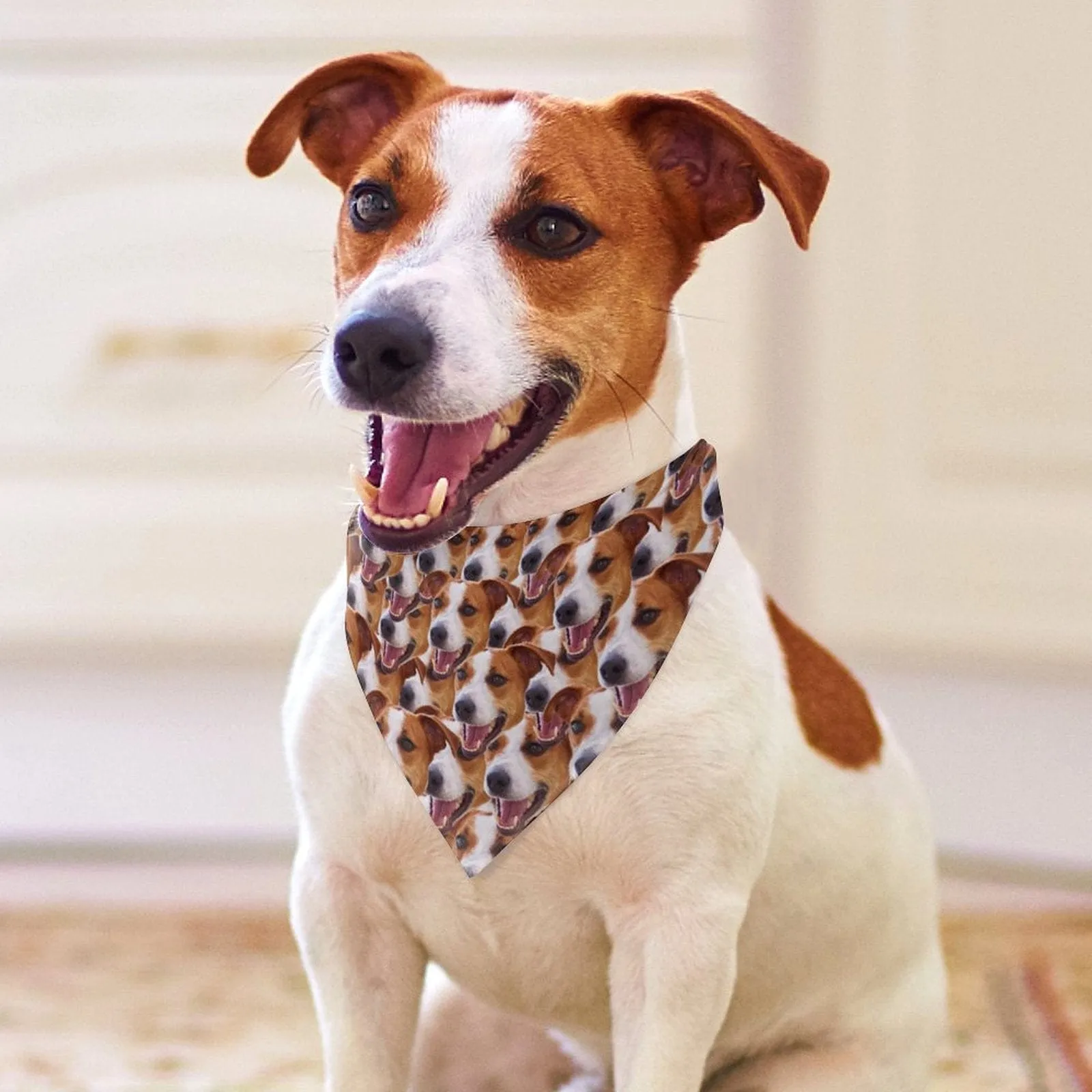 Custom Face Seamless Pajama Pants and Pet Dog Bandana