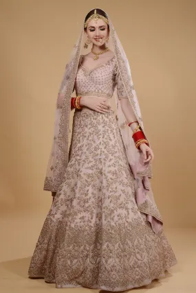 Soft pink  lehenga set.