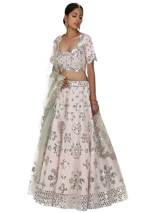 Tint pink colour lehenga